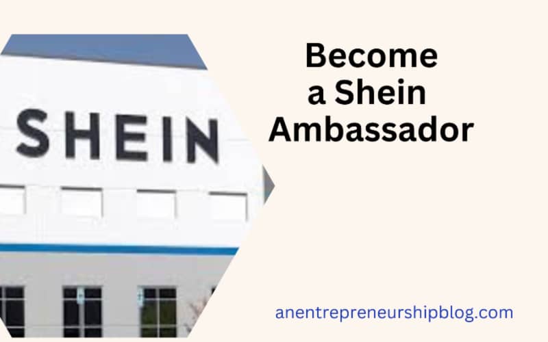 How To a Shein Brand Ambassador Share Your Stylish